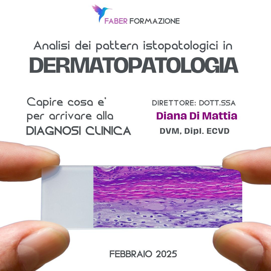 dermatopatologia