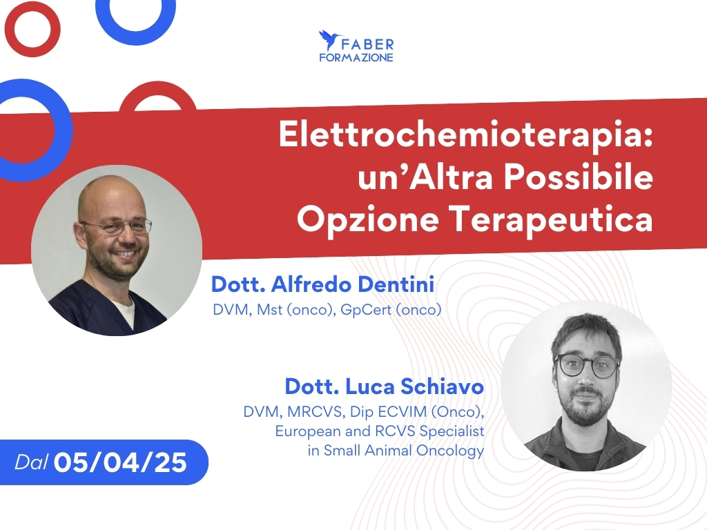 www.faberformecm.it - Elettrochemioterapia: Un’Altra Possibile Opzione Terapeutica